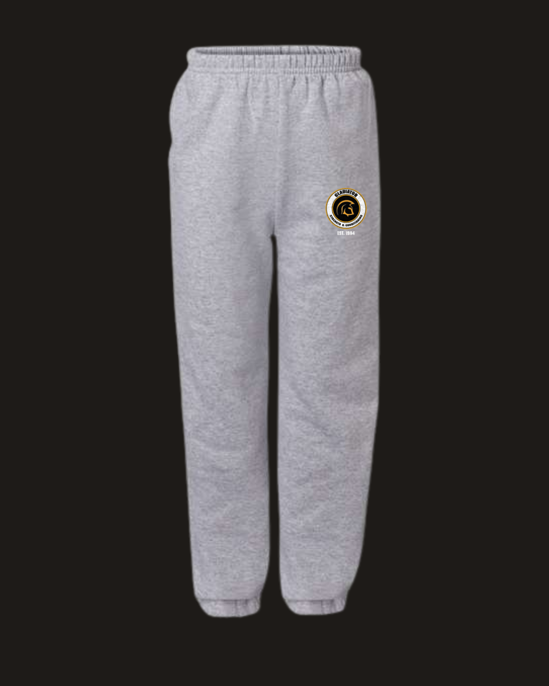 YOUTH Gildan joggers